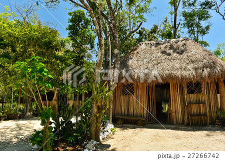 マヤ人の住居 27266742