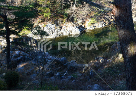 不動尊公園付近の内川 不動尊公園付近の内川 27268075
