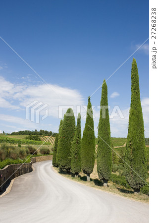 A typical landscape of Tuscany 27268238
