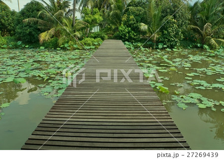 マハーサワット運河ツアーで訪問するタイ王国ナコーンパトムの蓮池 マハーサワット運河ツアーで訪問するタイ王国ナコーンパトムの蓮池 27269439