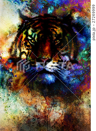 tiger collage on color abstract background, rust 27269999