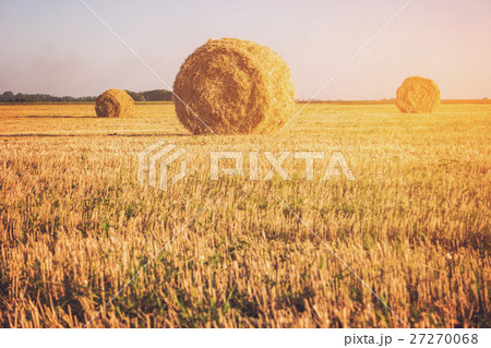 Field with bales of straw. 27270068