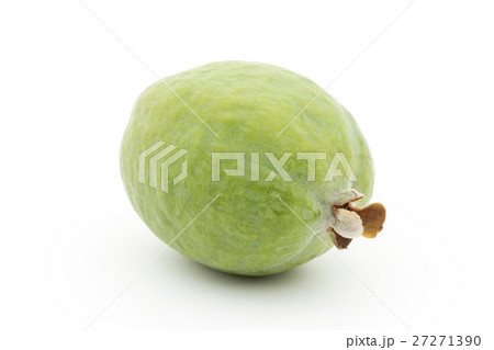 フェイジョア: Feijoa フェイジョア: Feijoa 27271390
