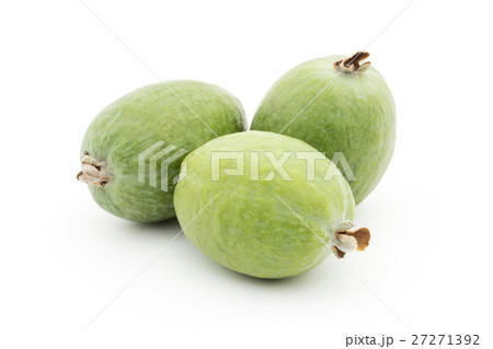 フェイジョア: Feijoa 27271392