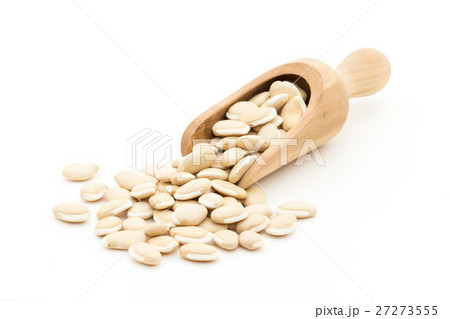 ヒヤシンス豆(ビャクヘンズ): Hyacinthbean (Lablab-bean) ヒヤシンス豆(ビャクヘンズ): Hyacinthbean (Lablab-bean) 27273555