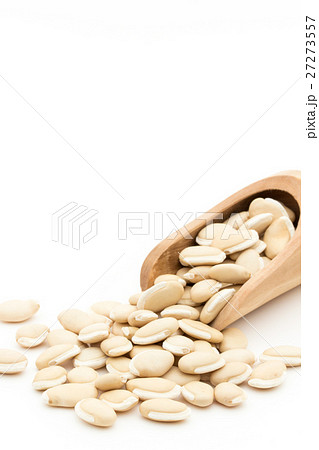ヒヤシンス豆(ビャクヘンズ): Hyacinthbean (Lablab-bean) ヒヤシンス豆(ビャクヘンズ): Hyacinthbean (Lablab-bean) 27273557