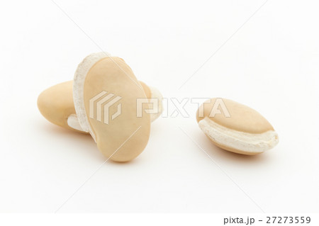 ヒヤシンス豆（ビャクヘンズ）:  Hyacinthbean (Lablab-bean) 27273559