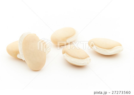 ヒヤシンス豆（ビャクヘンズ）:  Hyacinthbean (Lablab-bean) 27273560