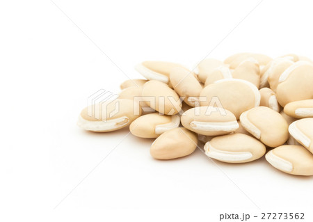ヒヤシンス豆(ビャクヘンズ): Hyacinthbean (Lablab-bean) ヒヤシンス豆(ビャクヘンズ): Hyacinthbean (Lablab-bean) 27273562