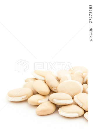 ヒヤシンス豆（ビャクヘンズ）:  Hyacinthbean (Lablab-bean) 27273563