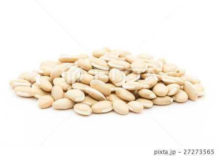 ヒヤシンス豆(ビャクヘンズ): Hyacinthbean (Lablab-bean) ヒヤシンス豆(ビャクヘンズ): Hyacinthbean (Lablab-bean) 27273565