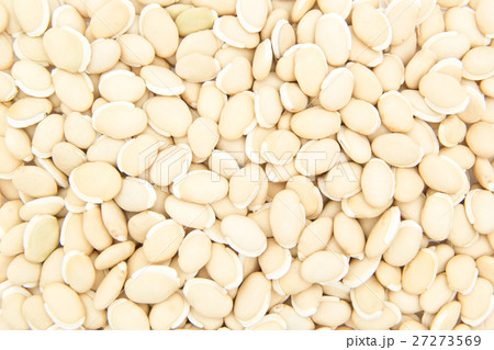 ヒヤシンス豆（ビャクヘンズ）:  Hyacinthbean (Lablab-bean) 27273569