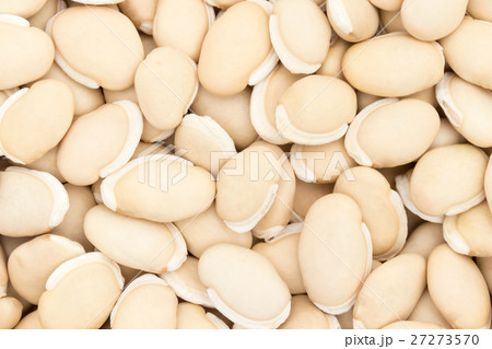 ヒヤシンス豆（ビャクヘンズ）:  Hyacinthbean (Lablab-bean) 27273570