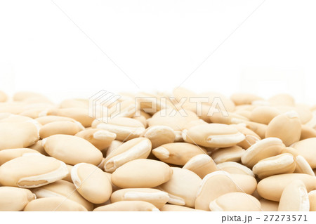 ヒヤシンス豆(ビャクヘンズ): Hyacinthbean (Lablab-bean) ヒヤシンス豆(ビャクヘンズ): Hyacinthbean (Lablab-bean) 27273571