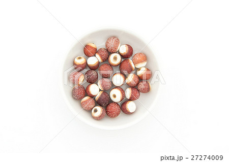 オニバスの種子: Prickly water lily seeds 27274009