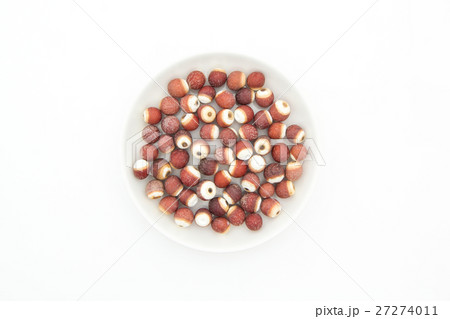 オニバスの種子: Prickly water lily seeds 27274011