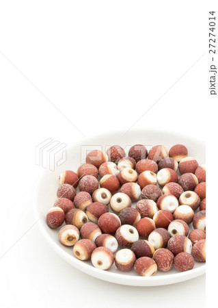 オニバスの種子: Prickly water lily seeds 27274014