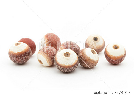 オニバスの種子: Prickly water lily seeds 27274018