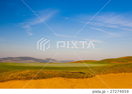 The detail of green field at sunrise 27274059