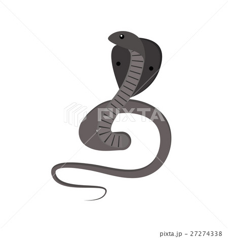 Cobra Snake Vectorのイラスト素材