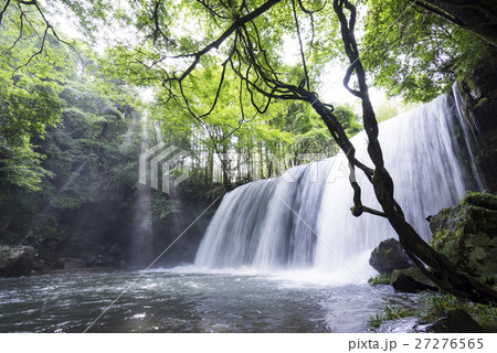 神秘的な光のカーテン光芒木漏れ日が美しい熊本県小国町の人気観光スポット鍋ヶ滝の写真素材