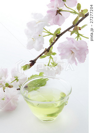お茶と八重桜 お茶と八重桜 27277204