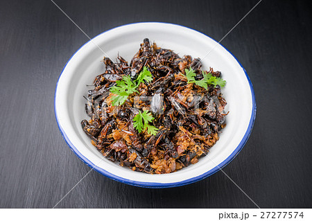 Food insect, Fried crickets in iron bowl  27277574
