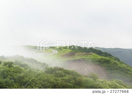 阿蘇ミルクロードの濃霧新緑の峠道早朝に霧に覆われ始める 27277668