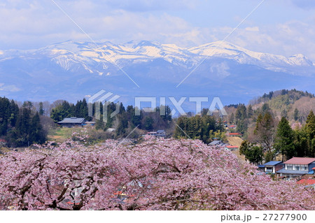 サクラと安達太良山 27277900