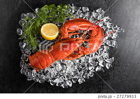 高級ロブスター  High-quality lobster 高級ロブスター  High-quality lobster 27279913