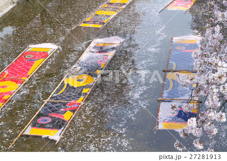 五条川 桜 五条川 桜 27281913