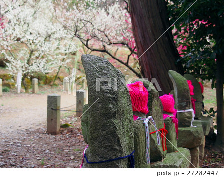 岡崎市岩津天満宮お地蔵さんの花見 27282447