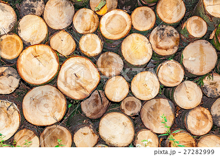 stack wood 27282999