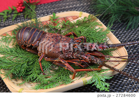 伊勢海老 伊勢海老 27284600