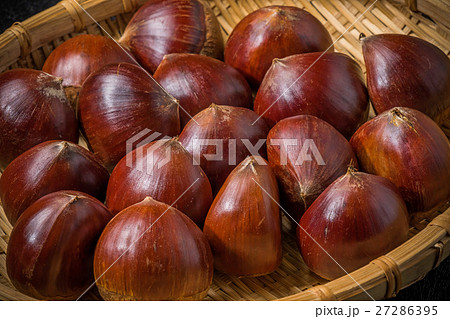とりたての栗 Chestnut とりたての栗 Chestnut 27286395