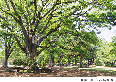 公園の風景 27287816