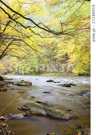 Metuje river in autumn, Czech Republic 27288959