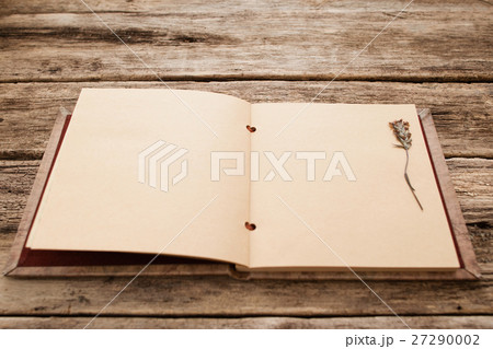 Blank vintage scrapbook with herbarium mockup Blank vintage scrapbook with herbarium mockup 27290002