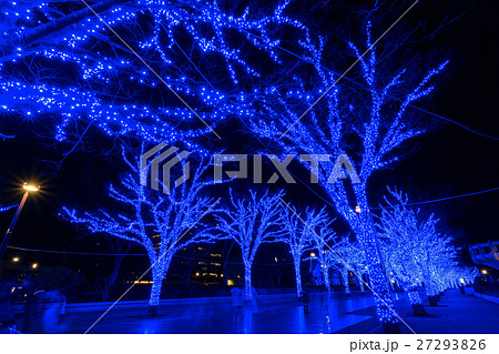 代々木公園 青の洞窟 27293826