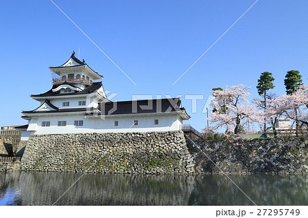 富山城と桜 富山城と桜 27295749