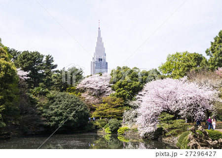 高層ビルと桜の風景 高層ビルと桜の風景 27296427