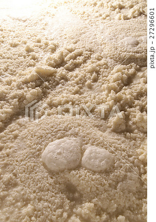 日本酒　酒蔵　もろみ 27296601