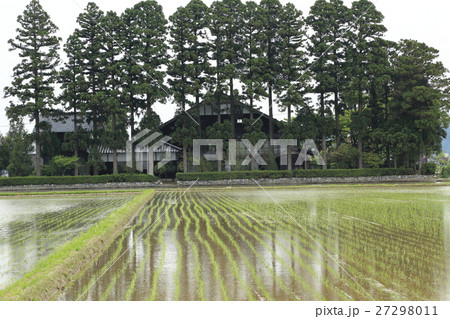 散居村　田園風景 27298011