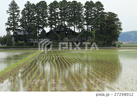 散居村　田園風景 27298012
