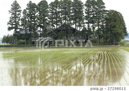 散居村　田園風景 27298013