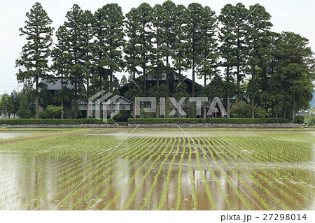 散居村　田園風景 27298014