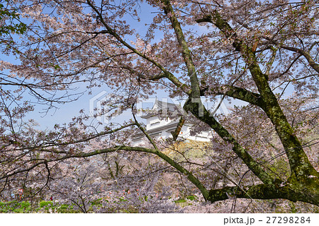 Spring in Okayama prefecture. 27298284
