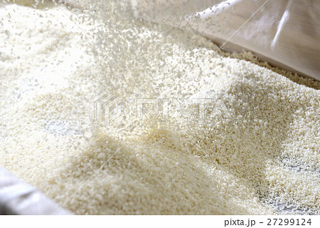 酒造り　麴室　酒米 27299124