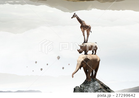 Heavy transport tax Heavy transport tax 27299642
