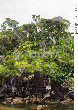 Landscape of Masoala National Park, Madagascar 27301433